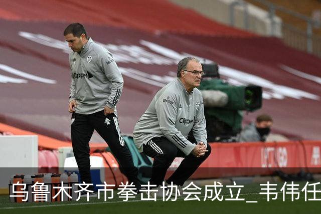 乌鲁木齐市拳击协会成立 韦伟任会长