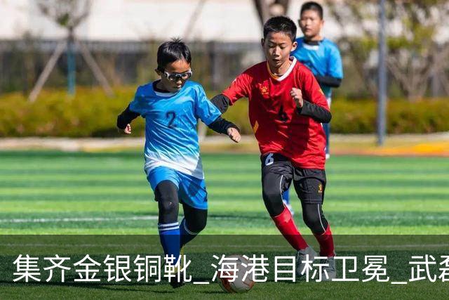 集齐金银铜靴 海港目标卫冕 武磊的伤是个麻烦